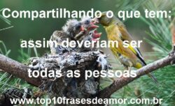 Compartilhando o que tem Compartilhando o que tem