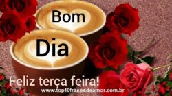 Feliz Terça Feira