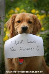 I will love you forever