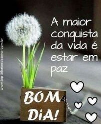 A maior conquista da vida