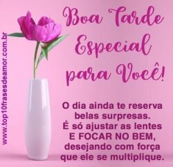 Boa tarde especial para você!
