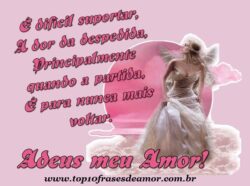 Adeus meu Amor! Adeus meu Amor!