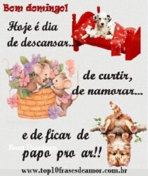 Bom Domingo! Bom Domingo!