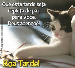 Boa tarde, Deus te abençoe!