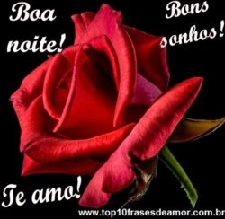 Boa noite, bons sonhos, te amo!