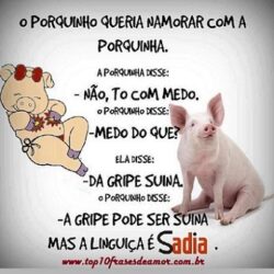 A linguiça é sadia A linguiça é sadia