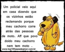 Meu cachorro nem tem moto