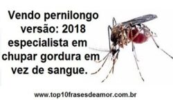 Pernilongo versão: 2018