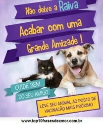 Cuide bem do seu amigo