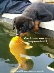 Amor impossível
