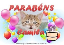 Parabéns Camila