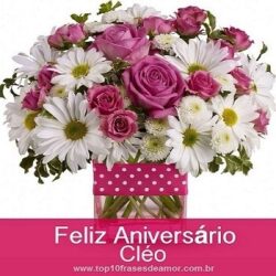 Feliz Aniversário Cléo