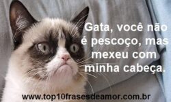 Você não é pescoço