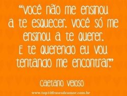 Você não me ensinou a te esquecer