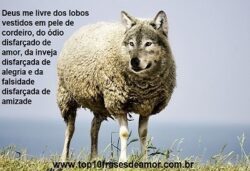Cuidado com lobos em pele de cordeiro