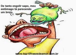 Chega de engolir sapo!