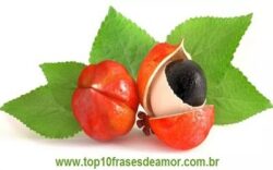 Lenda do guaraná