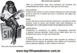 Não somos tão especiais