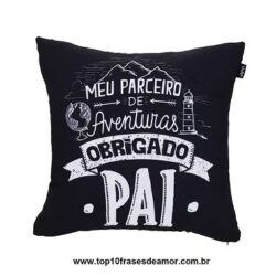 Meu parceiro de aventuras