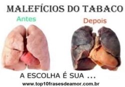 Malefícios do cigarro Malefícios do cigarrro