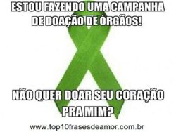 Campanha de doação de órgãos