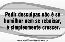 Pedir desculpas é evoluir