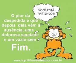 Você está partindo?!