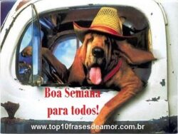 Boa Semana para todos!