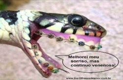 Gostou do meu sorriso?