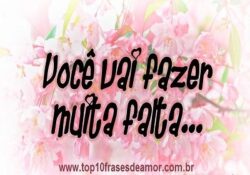 Já estou com saudade!