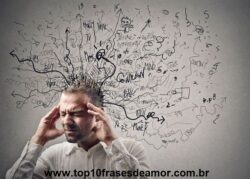 Compreender é prevenir