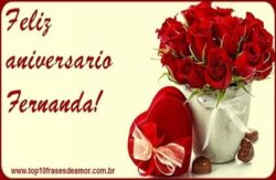 Feliz Aniversário Fernanda!