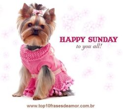 Happy Sunday to you all!