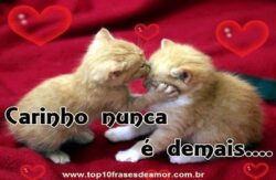 Carinho nunca é demais