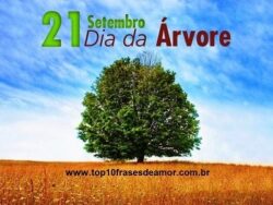 Feliz Dia da Árvore