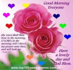 Good morning everyone