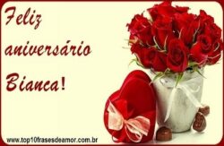 Feliz Aniversário Bianca!