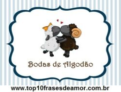 Feliz bodas de algodão!