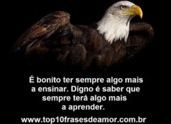 Ensinando e aprendendo