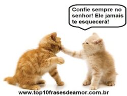 Confie sempre no senhor!
