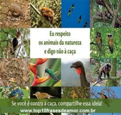 Preserve a natureza!