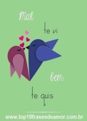 Mal te vi bem te quis