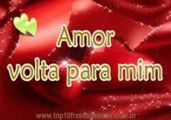Amor volta para mim
