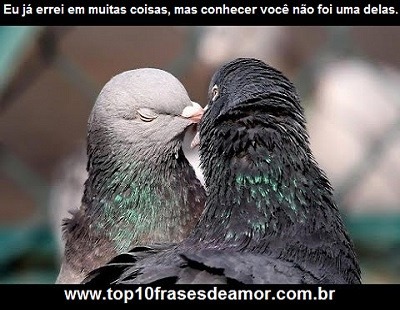 Eu já errei em muitas coisas