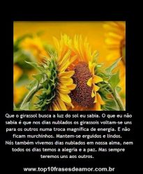 Sempre teremos uns aos outros