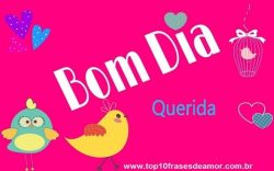 Bom dia querida