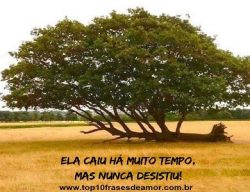 Não aceite menos que a vitória