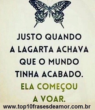 Comece a voar também