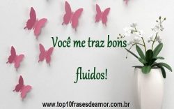 Você me traz bons fluidos!