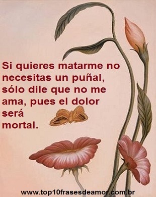 Sólo diga que no me ama